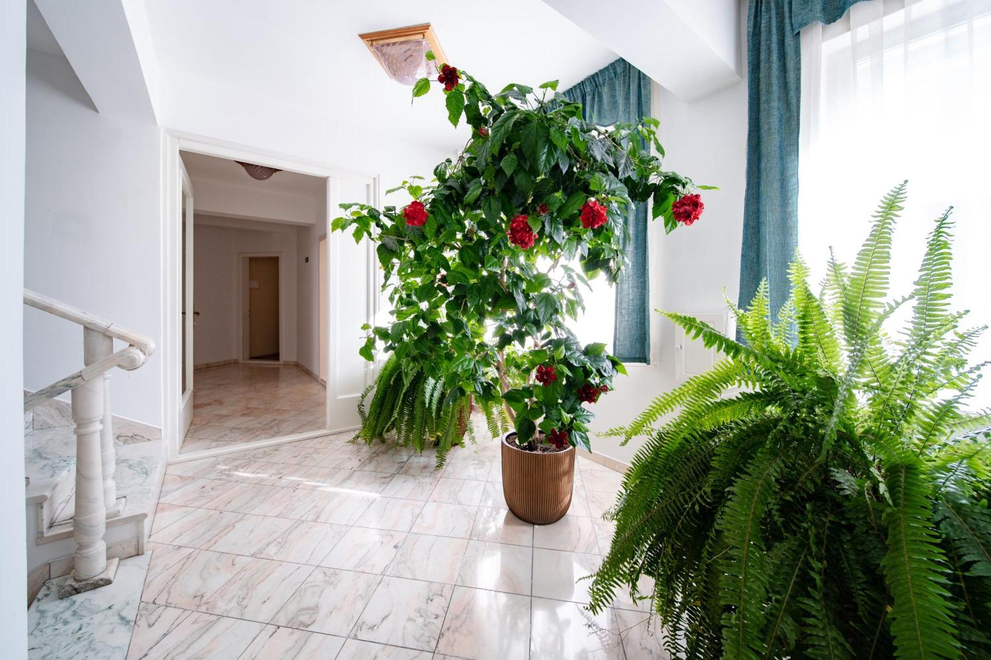 Lilla Panzio Hotel Odorheiu Secuiesc Buitenkant foto